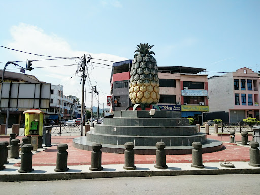 Pekan Nanas Pekan Nanas