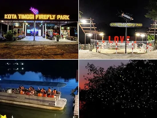 Yang Terbaik Pasti di Daerah Kota Tinggi 1 yang terbaik pasti di daerah kota tinggi